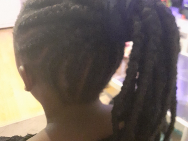salon de coiffure afro tresse tresses box braids crochet braids vanilles tissages paris 75 77 78 91 92 93 94 95 DLHFJOFA