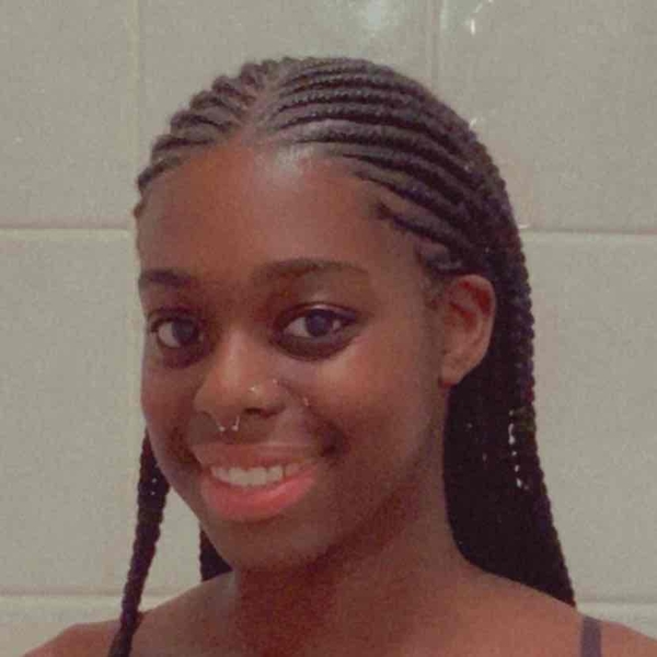salon de coiffure afro tresse tresses box braids crochet braids vanilles tissages paris 75 77 78 91 92 93 94 95 QHSVCTJK