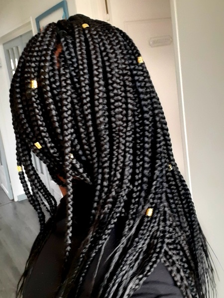 salon de coiffure afro tresse tresses box braids crochet braids vanilles tissages paris 75 77 78 91 92 93 94 95 FWUDRGMB