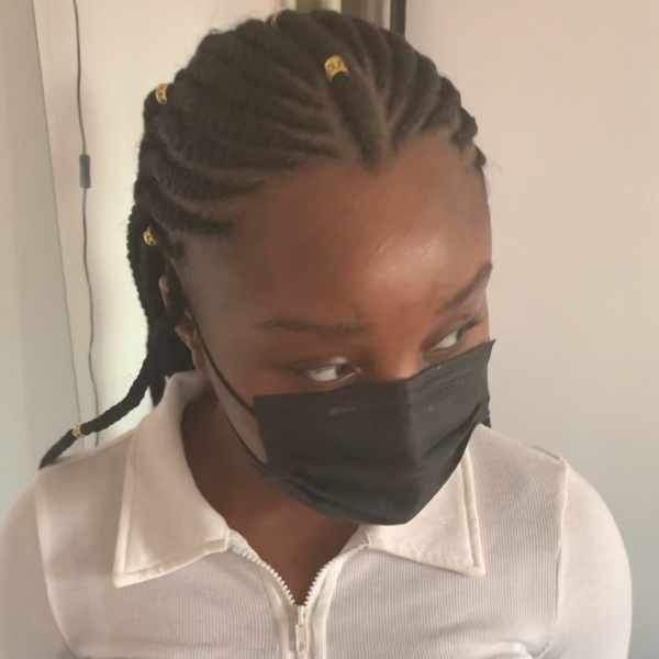 salon de coiffure afro tresse tresses box braids crochet braids vanilles tissages paris 75 77 78 91 92 93 94 95 GKMEMWII
