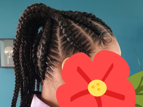 salon de coiffure afro tresse tresses box braids crochet braids vanilles tissages paris 75 77 78 91 92 93 94 95 LQFSEHHP