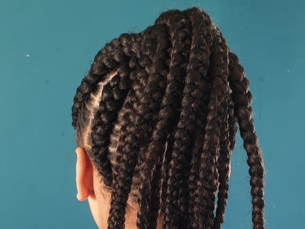 salon de coiffure afro tresse tresses box braids crochet braids vanilles tissages paris 75 77 78 91 92 93 94 95 VLMXXZGC