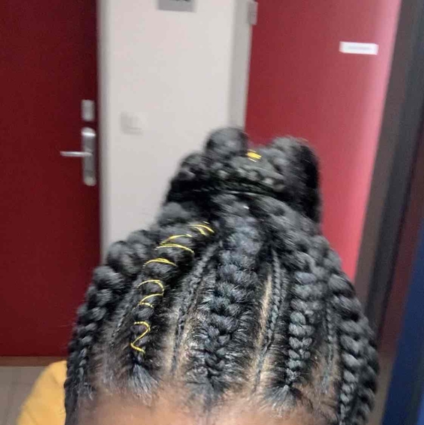 salon de coiffure afro tresse tresses box braids crochet braids vanilles tissages paris 75 77 78 91 92 93 94 95 PDLLJZRZ