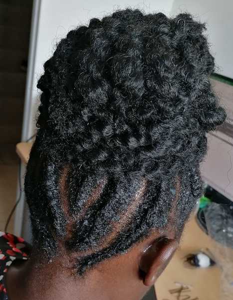 salon de coiffure afro tresse tresses box braids crochet braids vanilles tissages paris 75 77 78 91 92 93 94 95 IUWFXANR