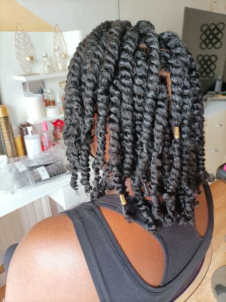 salon de coiffure afro tresse tresses box braids crochet braids vanilles tissages paris 75 77 78 91 92 93 94 95 WXOSMRNR