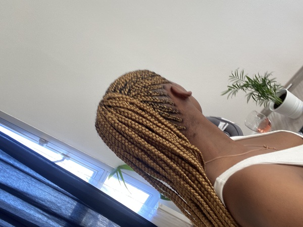 salon de coiffure afro tresse tresses box braids crochet braids vanilles tissages paris 75 77 78 91 92 93 94 95 LYFDWYQG