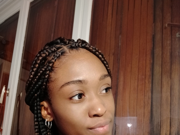 salon de coiffure afro tresse tresses box braids crochet braids vanilles tissages paris 75 77 78 91 92 93 94 95 DAORCGDP