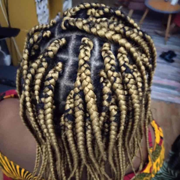 salon de coiffure afro tresse tresses box braids crochet braids vanilles tissages paris 75 77 78 91 92 93 94 95 FLHMUVLJ