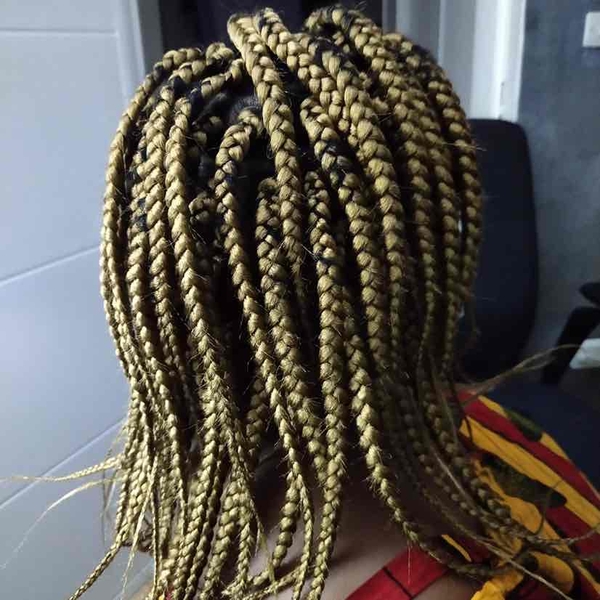salon de coiffure afro tresse tresses box braids crochet braids vanilles tissages paris 75 77 78 91 92 93 94 95 QGZYPSGG