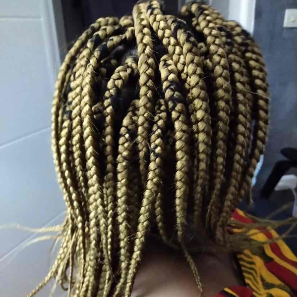 salon de coiffure afro tresse tresses box braids crochet braids vanilles tissages paris 75 77 78 91 92 93 94 95 JZFTJTVD