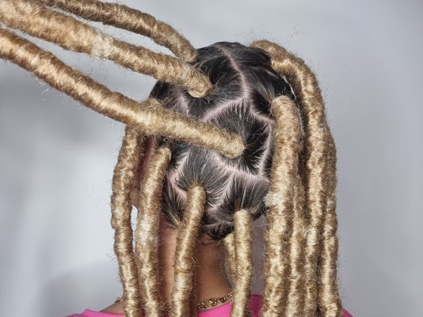 salon de coiffure afro tresse tresses box braids crochet braids vanilles tissages paris 75 77 78 91 92 93 94 95 XLAWUXOW