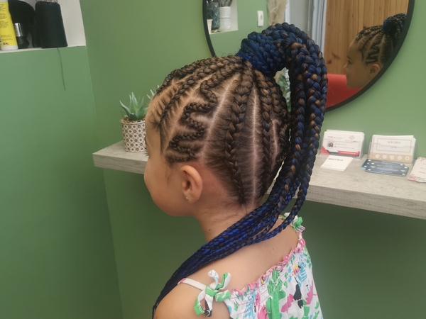 salon de coiffure afro tresse tresses box braids crochet braids vanilles tissages paris 75 77 78 91 92 93 94 95 PYFNNNPI