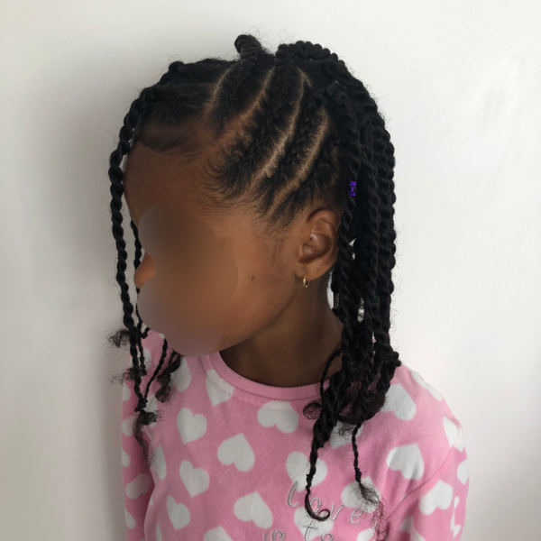 salon de coiffure afro tresse tresses box braids crochet braids vanilles tissages paris 75 77 78 91 92 93 94 95 JGHYWHCQ