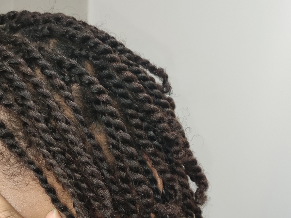 salon de coiffure afro tresse tresses box braids crochet braids vanilles tissages paris 75 77 78 91 92 93 94 95 RCZYKSKR