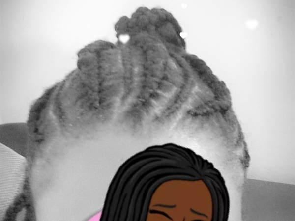 salon de coiffure afro tresse tresses box braids crochet braids vanilles tissages paris 75 77 78 91 92 93 94 95 FJIDPFEM
