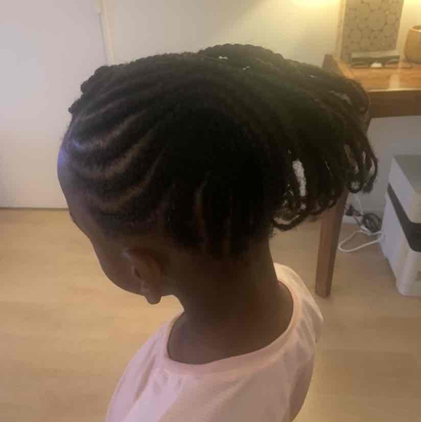 salon de coiffure afro tresse tresses box braids crochet braids vanilles tissages paris 75 77 78 91 92 93 94 95 BZXLQSLL