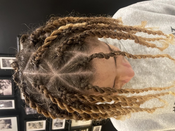 salon de coiffure afro tresse tresses box braids crochet braids vanilles tissages paris 75 77 78 91 92 93 94 95 YNUXAMYA
