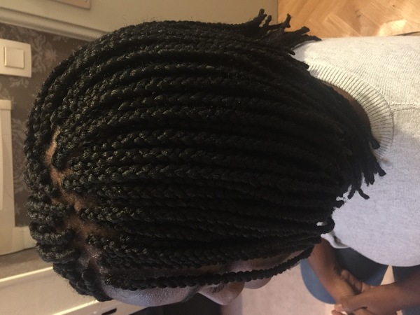 salon de coiffure afro tresse tresses box braids crochet braids vanilles tissages paris 75 77 78 91 92 93 94 95 VPUDVDTX