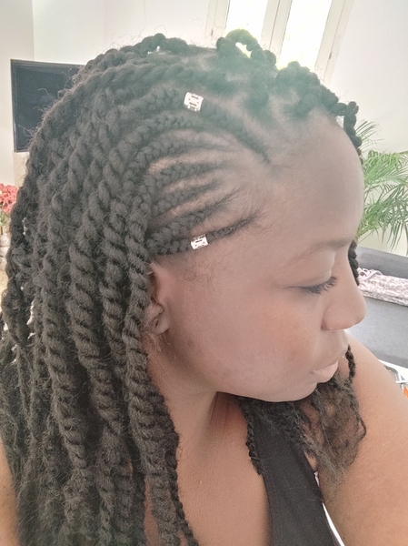 salon de coiffure afro tresse tresses box braids crochet braids vanilles tissages paris 75 77 78 91 92 93 94 95 MDAXLHMQ