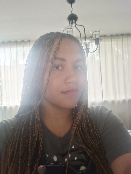salon de coiffure afro tresse tresses box braids crochet braids vanilles tissages paris 75 77 78 91 92 93 94 95 YQRKRJJL