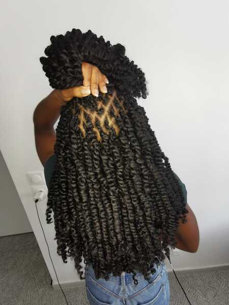 salon de coiffure afro tresse tresses box braids crochet braids vanilles tissages paris 75 77 78 91 92 93 94 95 PPEQDLNS