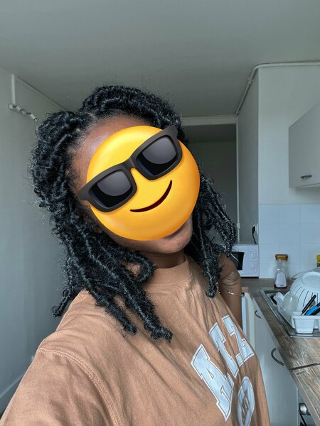 salon de coiffure afro tresse tresses box braids crochet braids vanilles tissages paris 75 77 78 91 92 93 94 95 ZNVHIAZZ