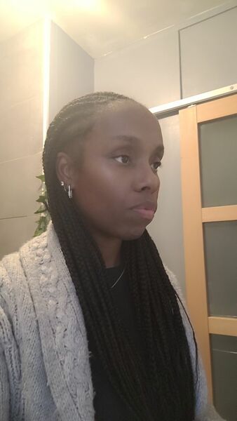 salon de coiffure afro tresse tresses box braids crochet braids vanilles tissages paris 75 77 78 91 92 93 94 95 QAEGDZHN
