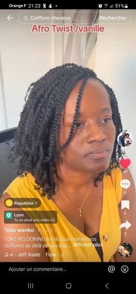 salon de coiffure afro tresse tresses box braids crochet braids vanilles tissages paris 75 77 78 91 92 93 94 95 ZTBKILAI