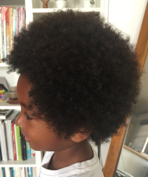 salon de coiffure afro tresse tresses box braids crochet braids vanilles tissages paris 75 77 78 91 92 93 94 95 YSLOOCSJ