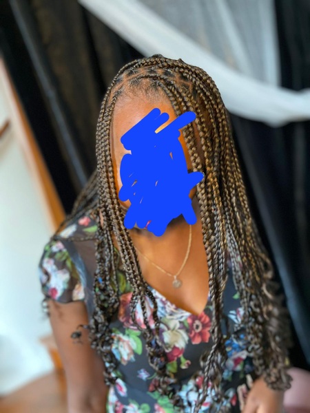 salon de coiffure afro tresse tresses box braids crochet braids vanilles tissages paris 75 77 78 91 92 93 94 95 CLZGGNAV
