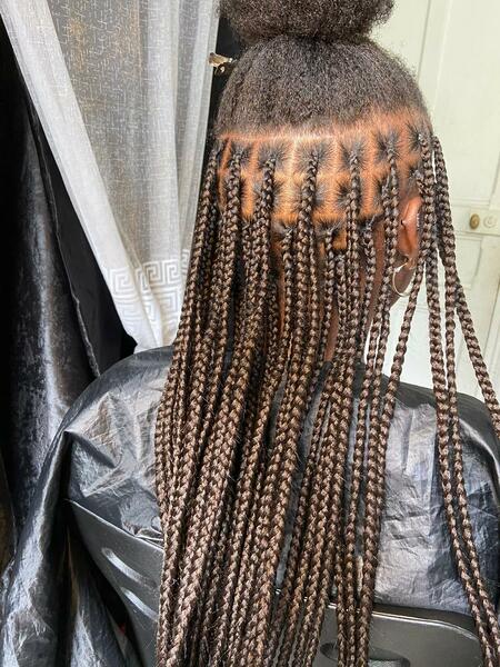 salon de coiffure afro tresse tresses box braids crochet braids vanilles tissages paris 75 77 78 91 92 93 94 95 PEVCFBOE