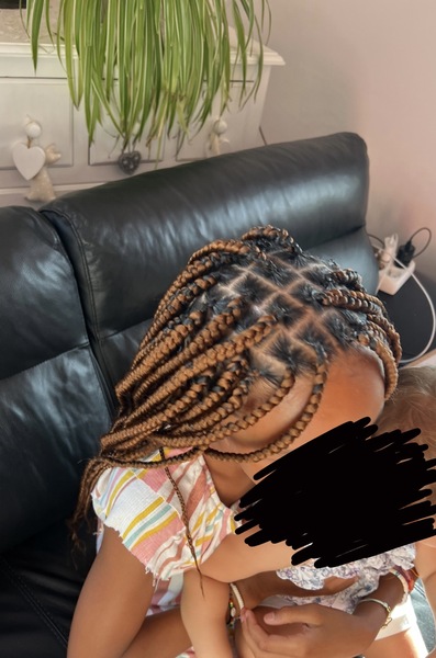 salon de coiffure afro tresse tresses box braids crochet braids vanilles tissages paris 75 77 78 91 92 93 94 95 RMYRSETW