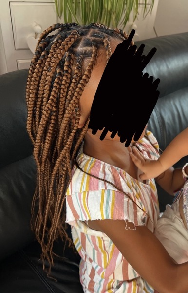 salon de coiffure afro tresse tresses box braids crochet braids vanilles tissages paris 75 77 78 91 92 93 94 95 YNLIUZGI