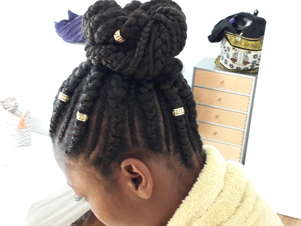 salon de coiffure afro tresse tresses box braids crochet braids vanilles tissages paris 75 77 78 91 92 93 94 95 ZIUYOSNP