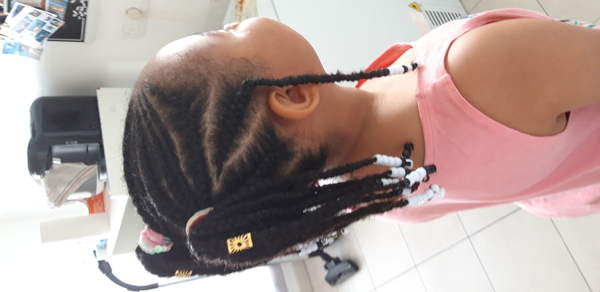 salon de coiffure afro tresse tresses box braids crochet braids vanilles tissages paris 75 77 78 91 92 93 94 95 BWLNEJVA