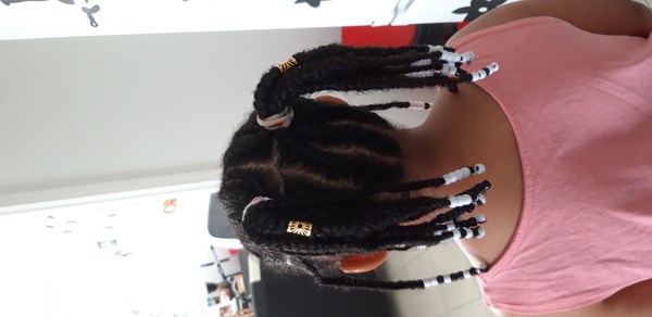 salon de coiffure afro tresse tresses box braids crochet braids vanilles tissages paris 75 77 78 91 92 93 94 95 ZYKTQUKI