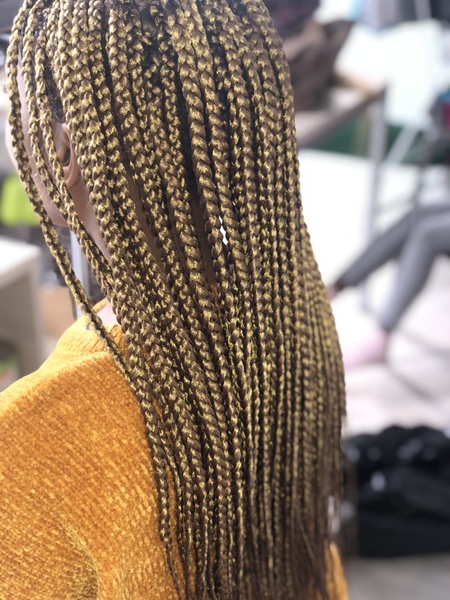 salon de coiffure afro tresse tresses box braids crochet braids vanilles tissages paris 75 77 78 91 92 93 94 95 XIKHWBUG