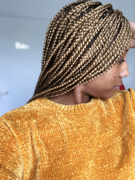 salon de coiffure afro tresse tresses box braids crochet braids vanilles tissages paris 75 77 78 91 92 93 94 95 SOXAYSJB