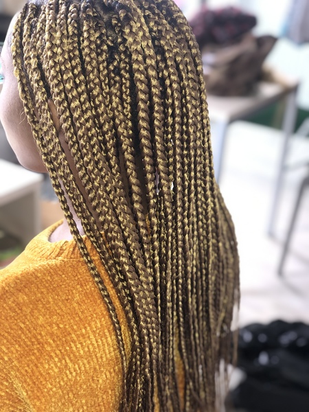 salon de coiffure afro tresse tresses box braids crochet braids vanilles tissages paris 75 77 78 91 92 93 94 95 CFDEIEKD