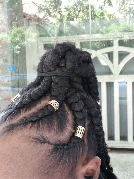 salon de coiffure afro tresse tresses box braids crochet braids vanilles tissages paris 75 77 78 91 92 93 94 95 WZWGNBLF