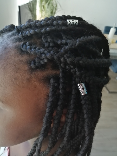 salon de coiffure afro tresse tresses box braids crochet braids vanilles tissages paris 75 77 78 91 92 93 94 95 FNAGTYFM
