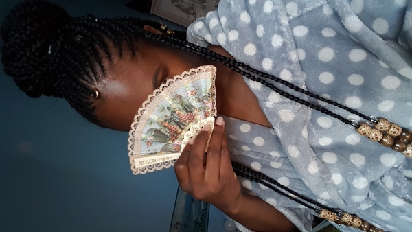 salon de coiffure afro tresse tresses box braids crochet braids vanilles tissages paris 75 77 78 91 92 93 94 95 DFBEPGMO