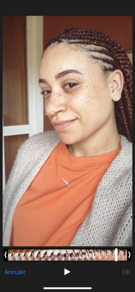 salon de coiffure afro tresse tresses box braids crochet braids vanilles tissages paris 75 77 78 91 92 93 94 95 UZUQRGXZ