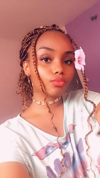 salon de coiffure afro tresse tresses box braids crochet braids vanilles tissages paris 75 77 78 91 92 93 94 95 MFSQAGFU