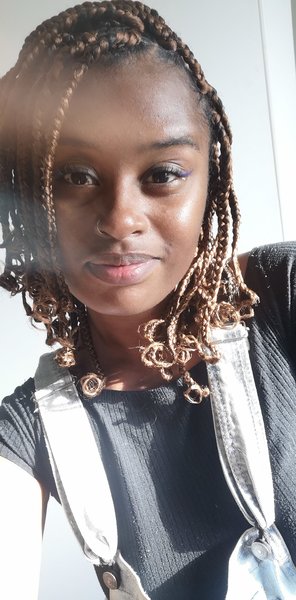 salon de coiffure afro tresse tresses box braids crochet braids vanilles tissages paris 75 77 78 91 92 93 94 95 MMYEOFDA