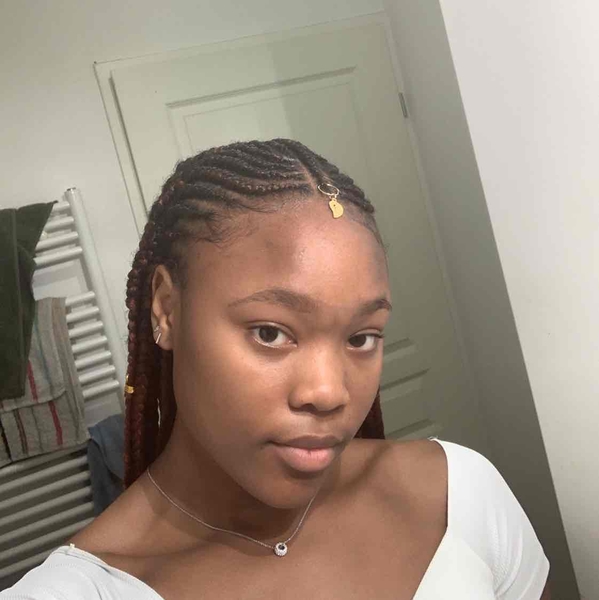 salon de coiffure afro tresse tresses box braids crochet braids vanilles tissages paris 75 77 78 91 92 93 94 95 MFERALYU