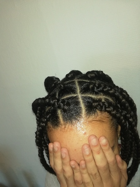 salon de coiffure afro tresse tresses box braids crochet braids vanilles tissages paris 75 77 78 91 92 93 94 95 MOMWLOYJ