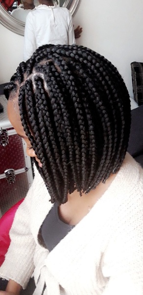 salon de coiffure afro tresse tresses box braids crochet braids vanilles tissages paris 75 77 78 91 92 93 94 95 QMSLYHLK