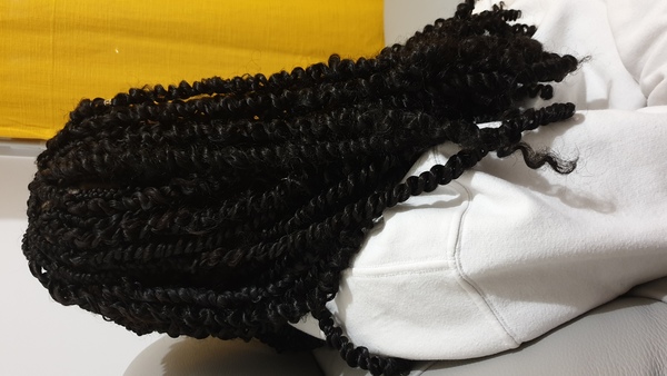 salon de coiffure afro tresse tresses box braids crochet braids vanilles tissages paris 75 77 78 91 92 93 94 95 ZEJAKEUI