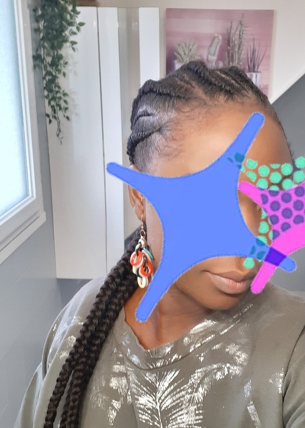 salon de coiffure afro tresse tresses box braids crochet braids vanilles tissages paris 75 77 78 91 92 93 94 95 TTATHEMJ